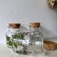 Lot 3 glass jars and corks