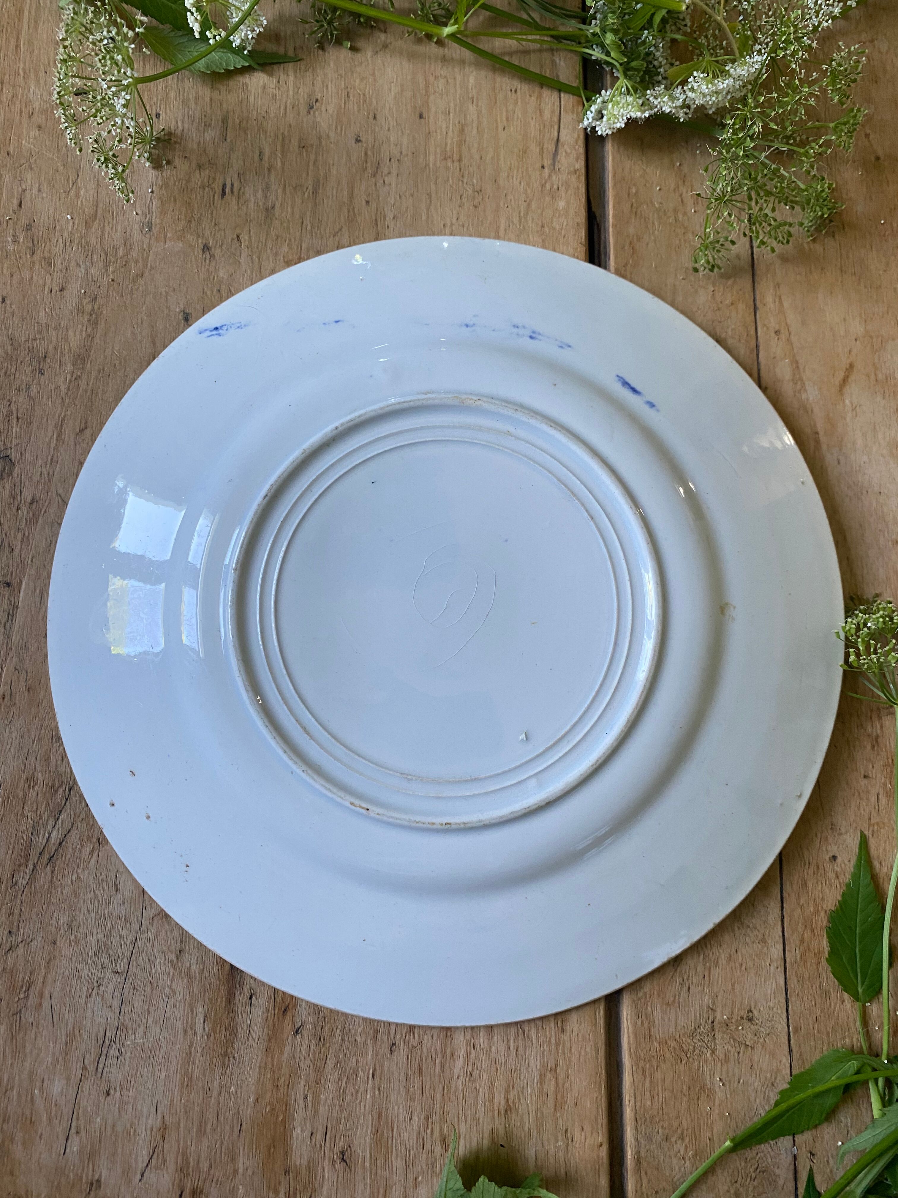 Plate decorated with blue birds and butterflies
