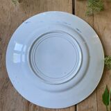 Plate decorated with blue birds and butterflies