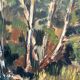 Original Swedish Oil on Panel – “Forest” by Arvid Herbert