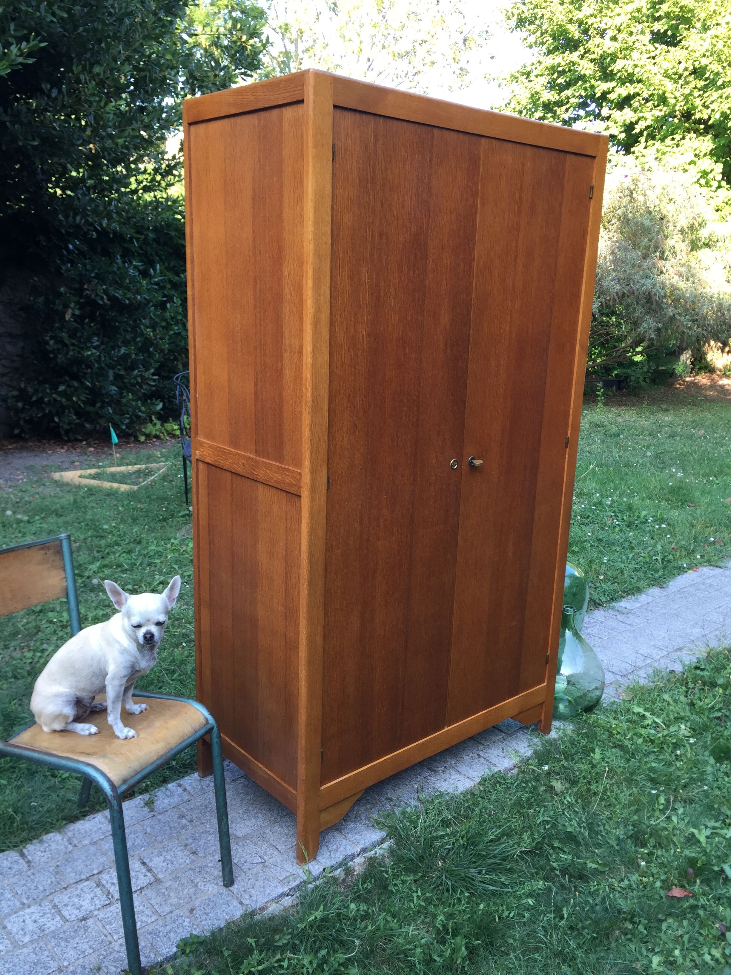 School vintage 1950 in blond oak wardrobe