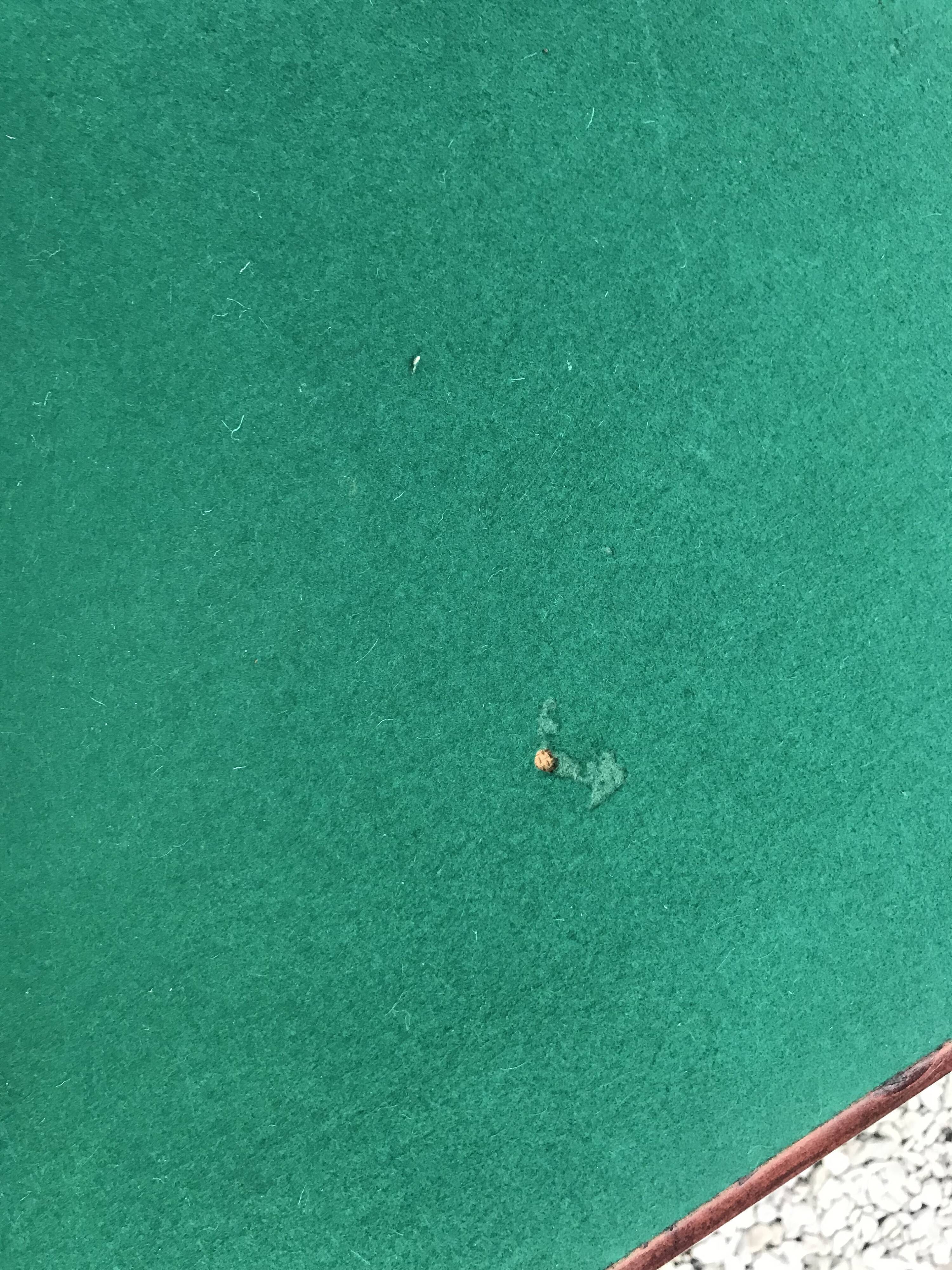 Folding bridge table