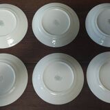 Villeroy & Boch Flora dinner plates, set of six