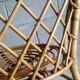 1950 rattan chair