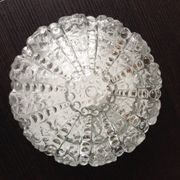 Plafonnier rond en verre bullé  / vintage années 60-70