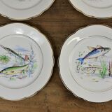 Set of 6 plates sea pattern Digoin Sarreguemines.