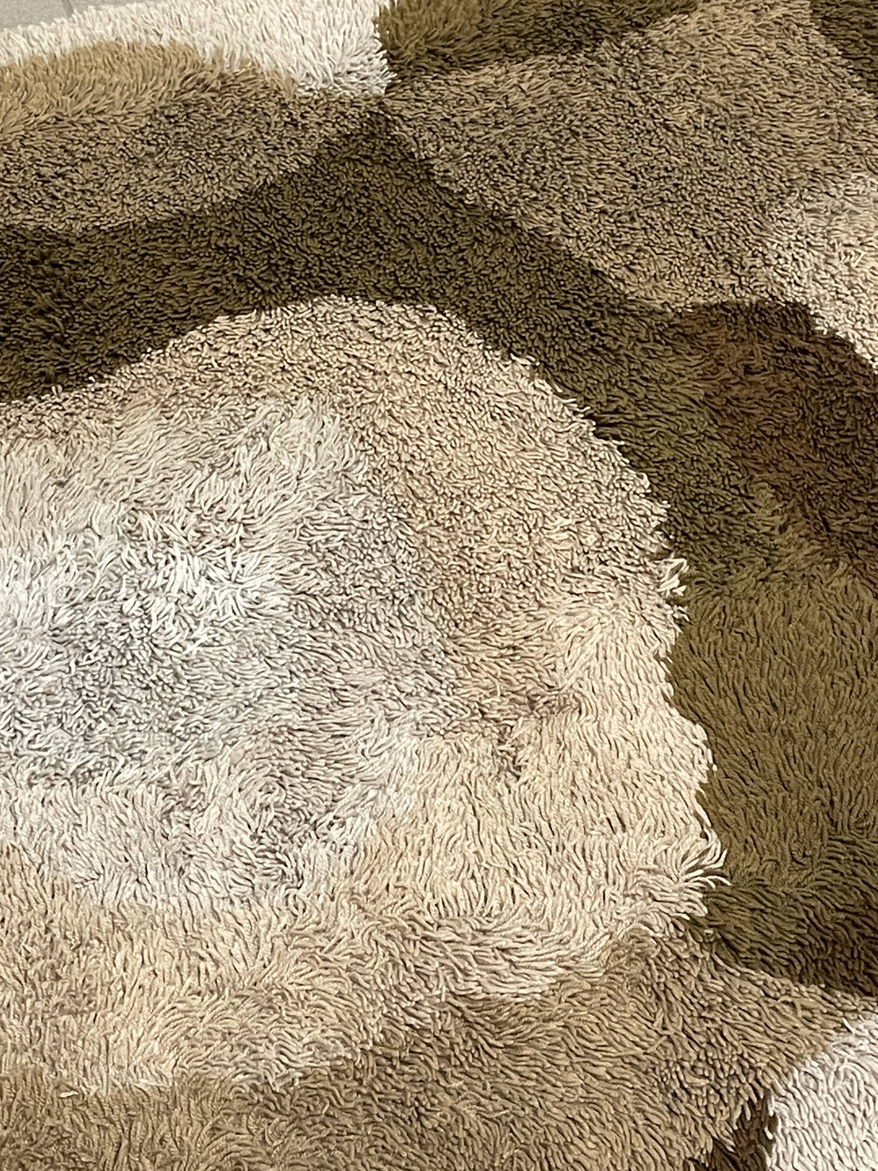 Grand tapis en laine à poils longs, produit par Desso, années 1970.