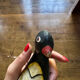 Penguin wood sculpture