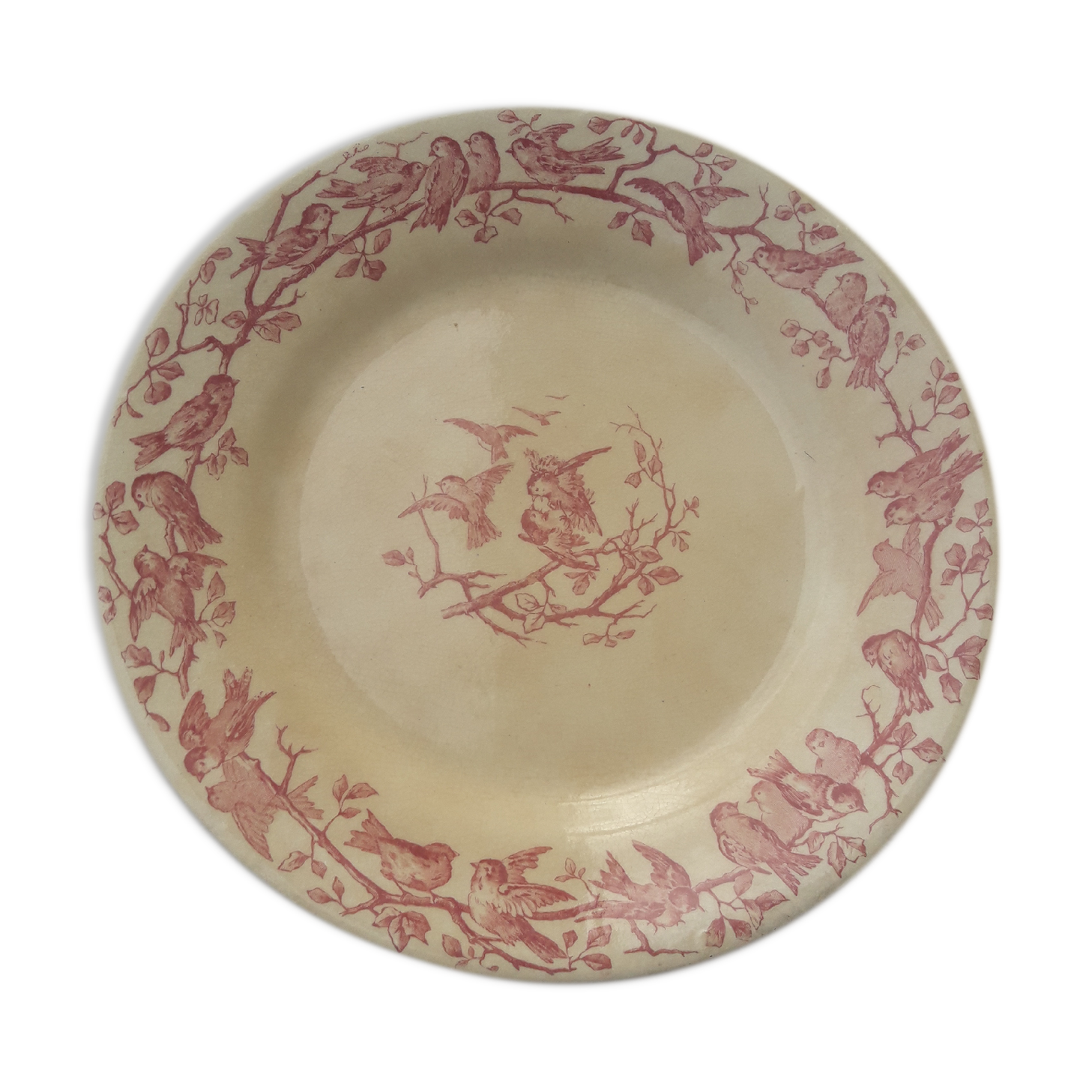 Assiette en porcelaine opaque de Gien  modèle Aviary diam 22,5 cm XIX ème siècle