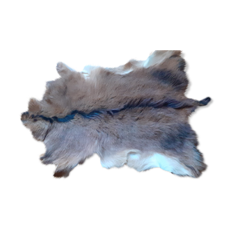 Goat skin
