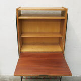 Secretary of the 60s