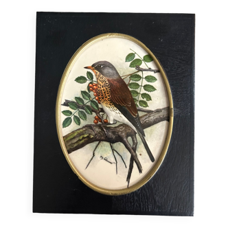 old frame bird illustration PH Gunner