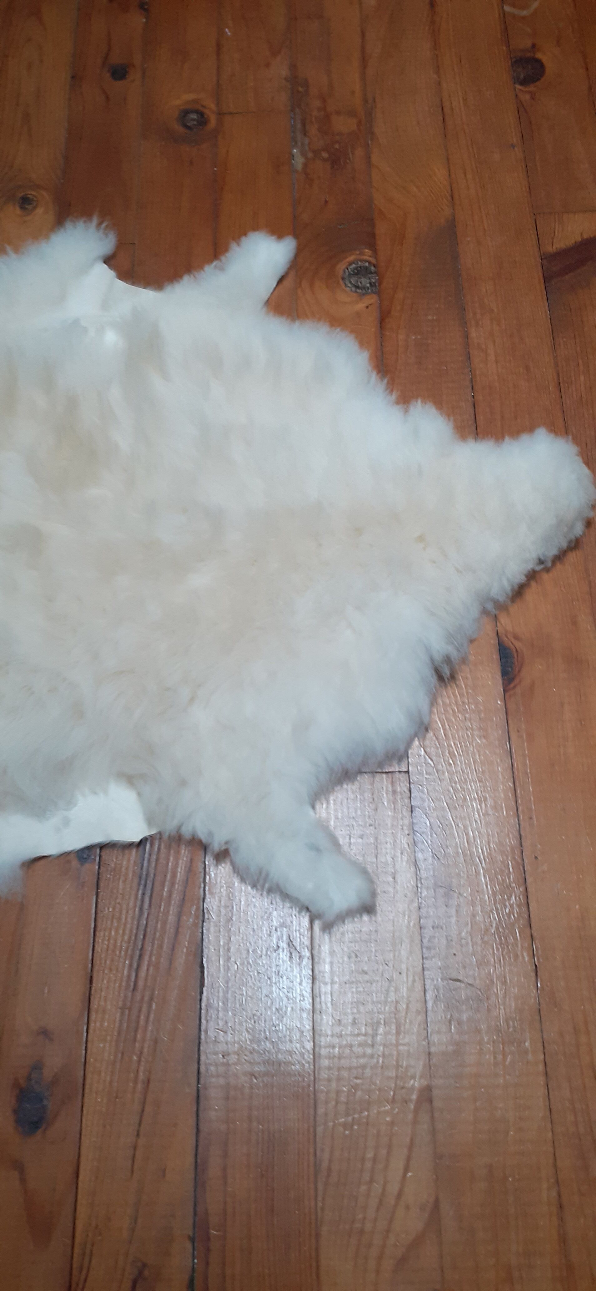New sheepskin