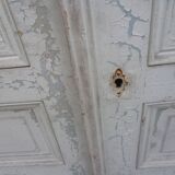 Pair of closet door old green patina
