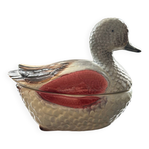 Terrine canard vert et - rose