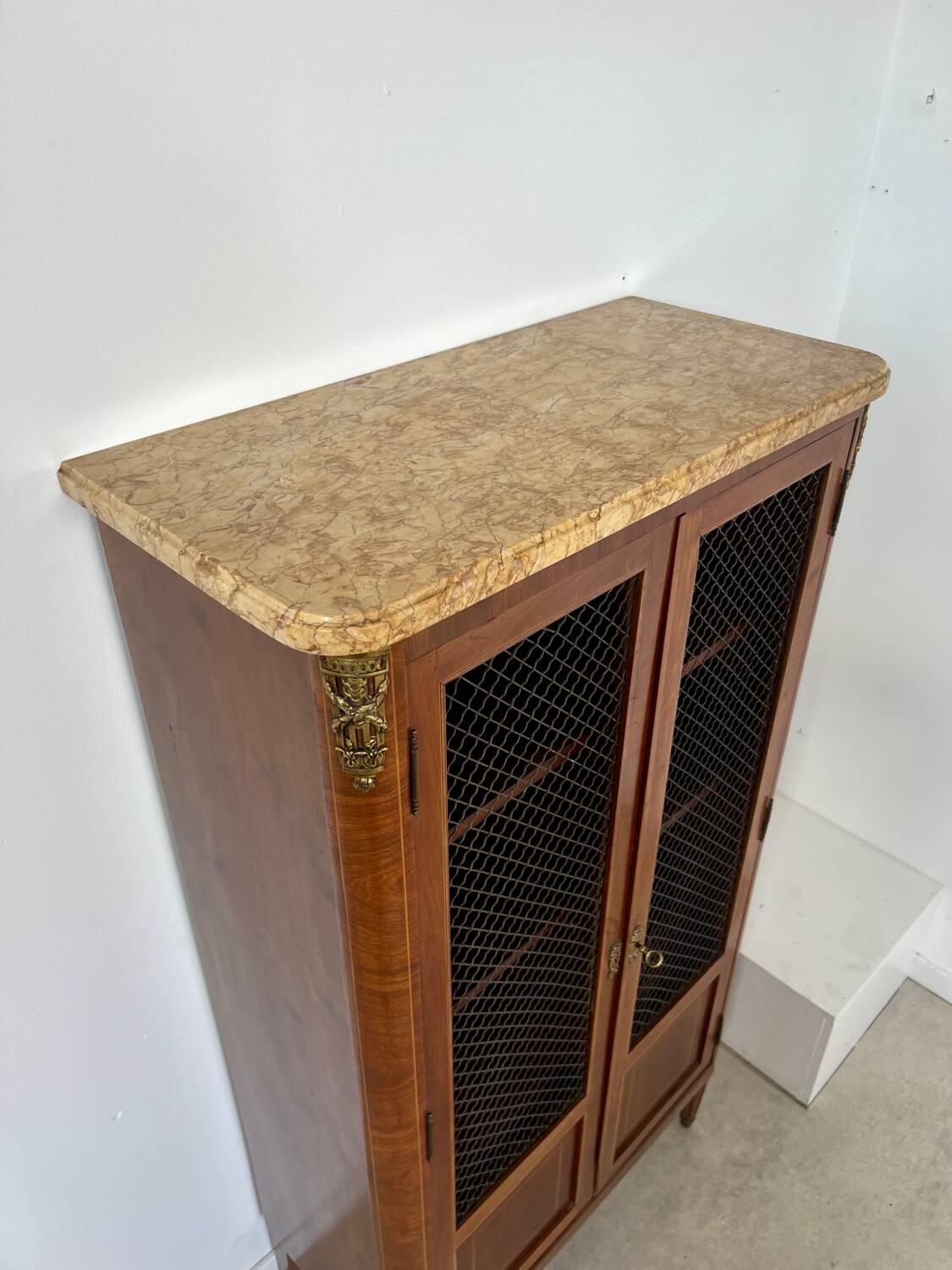Old display case library with wire mesh from the Napoleon III period, late 19th century