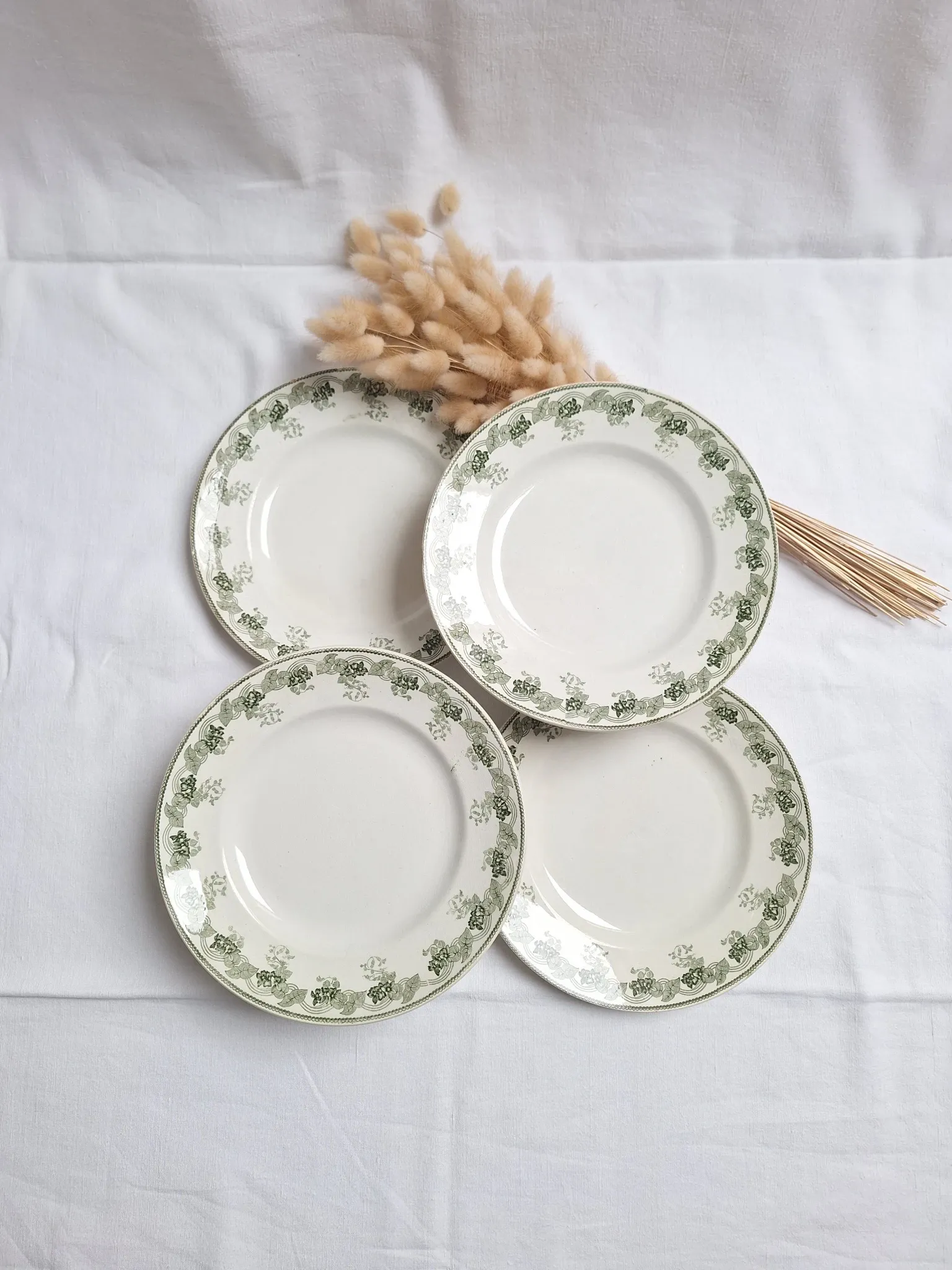 Assiettes plates vertes Moulin des Loups modèle Violetta