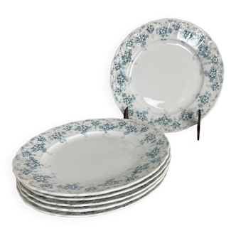 Ensemble de 6 assiettes plates en faïence de Maastricht modèle Clara