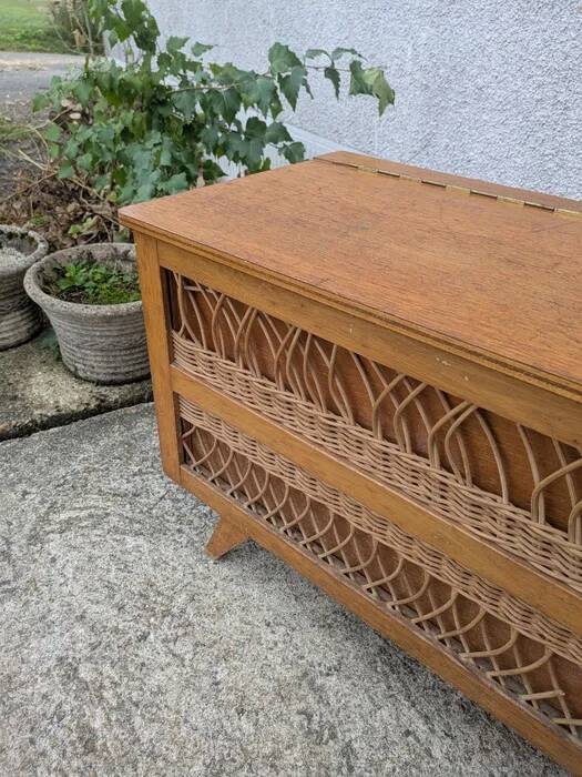 Vintage toy chest