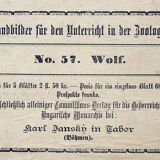 Affiche "wolf" lithographie Karl Jansky Böhmen 1897