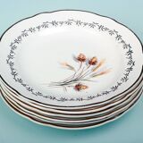 6 dessert plates Sarreguemines K5412