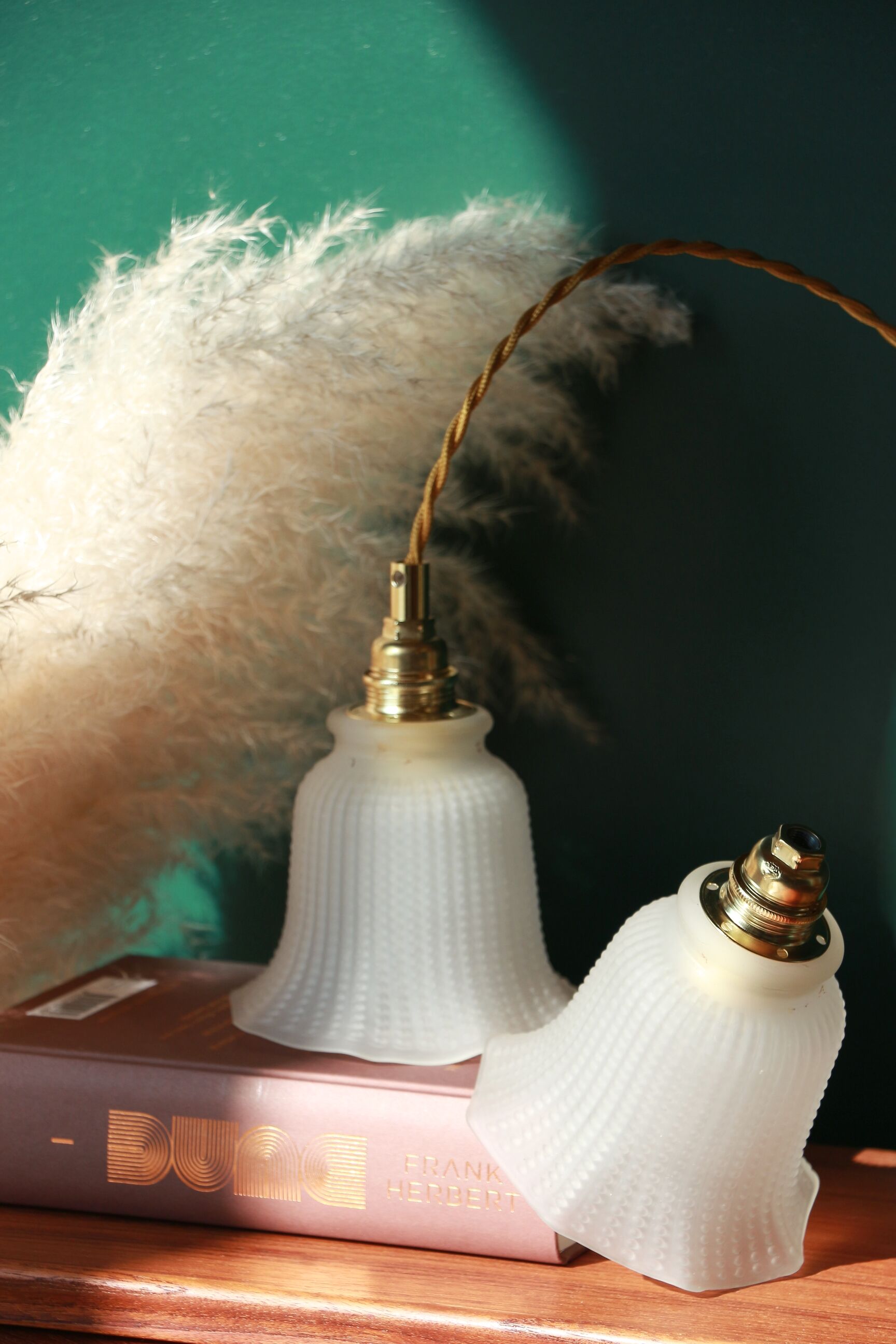 Walkman(s) - Dotted flowers