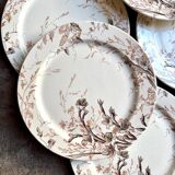 6 dessert plates in iron earth from Creil and Montereau, "Glaïeul" service