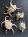 Lot de 4 coquillages anciens lambris