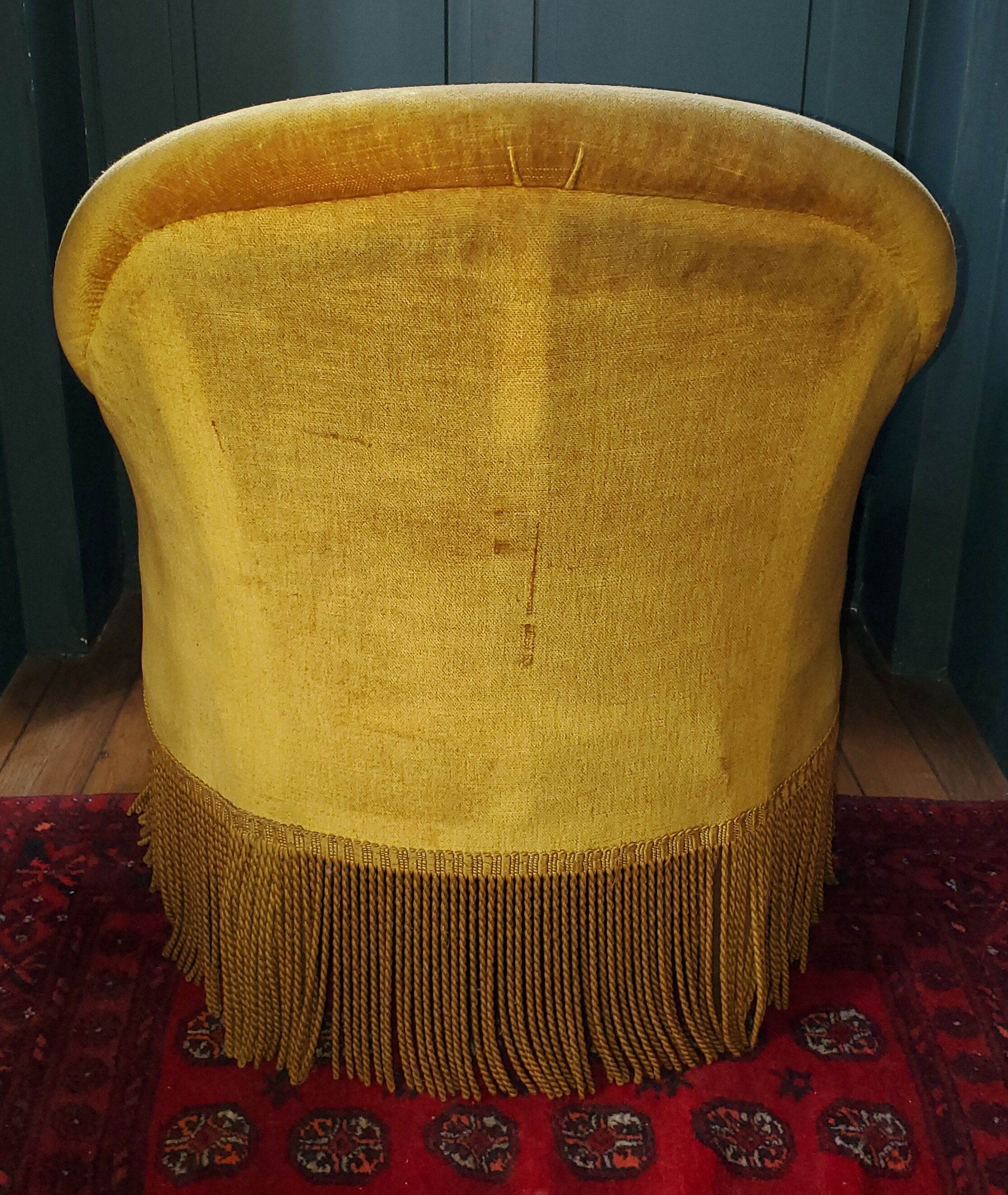 Golden yellow toad armchair