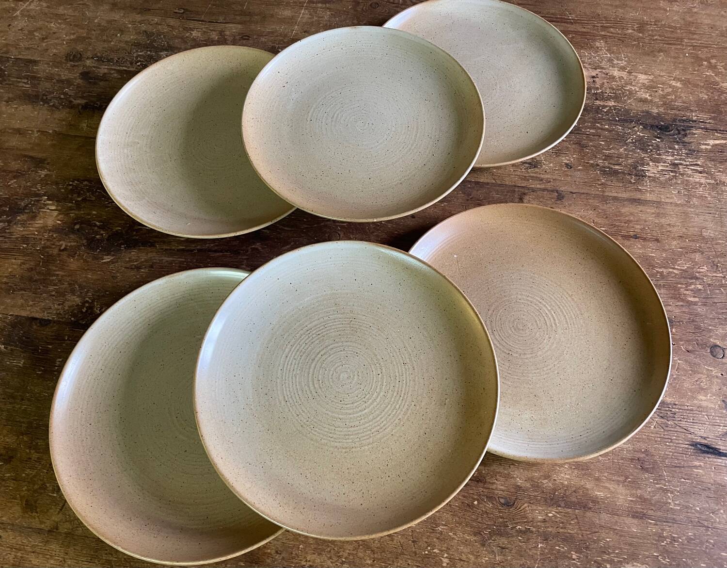Assiettes plates en grès CNP