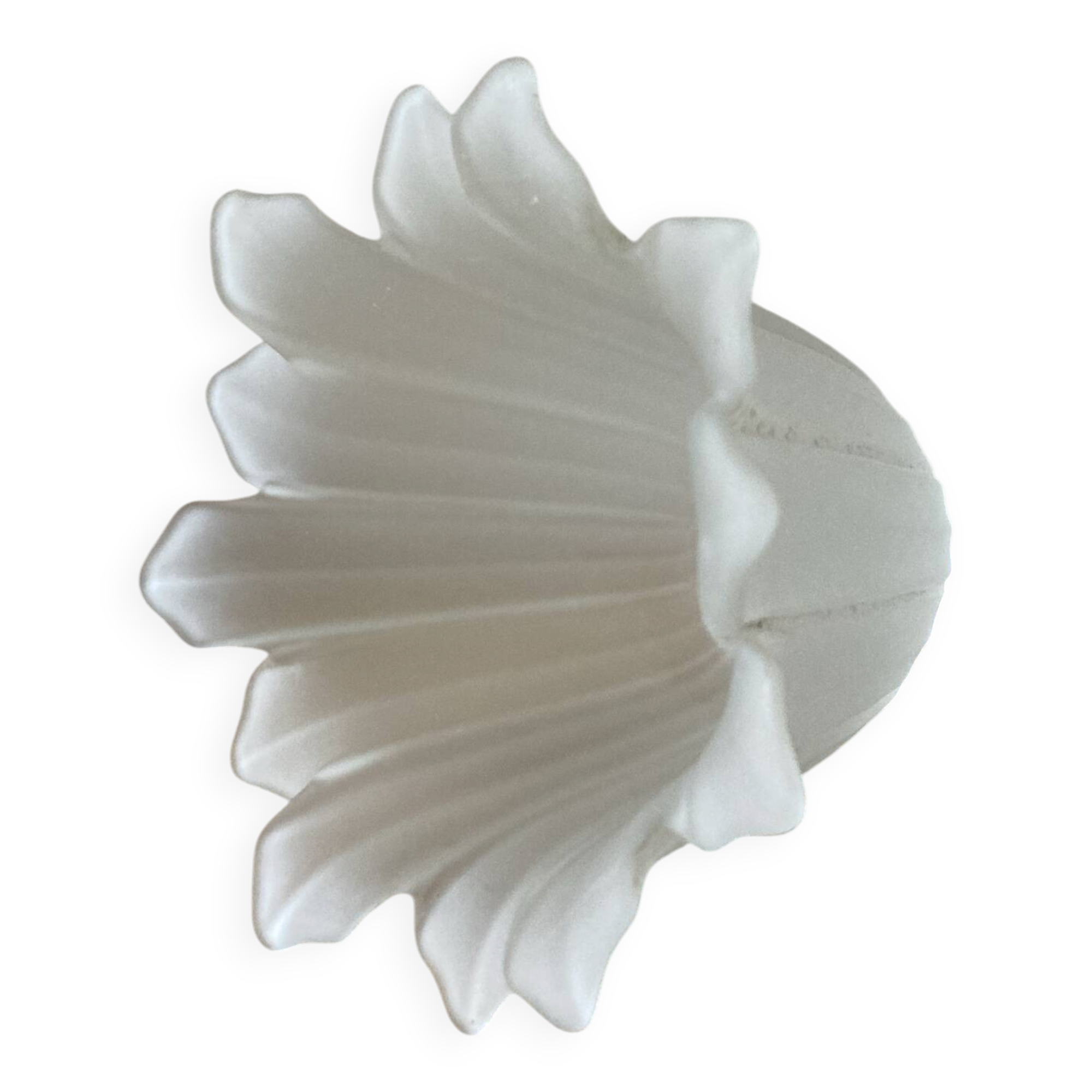 Glass tulips / pâte de verre