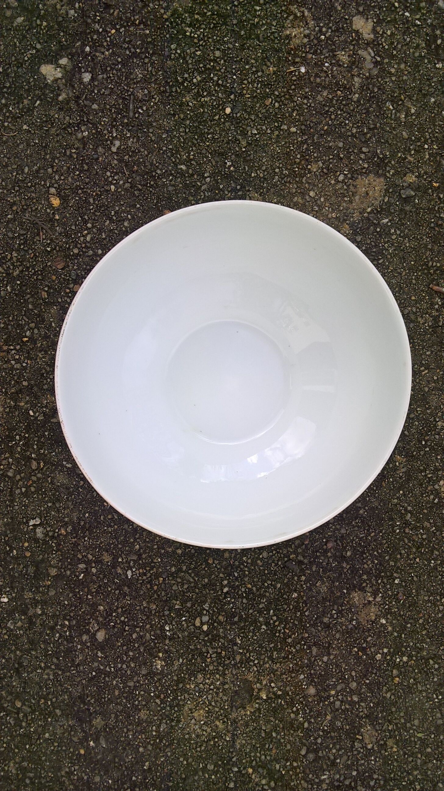 Porcelain breakfast bowl