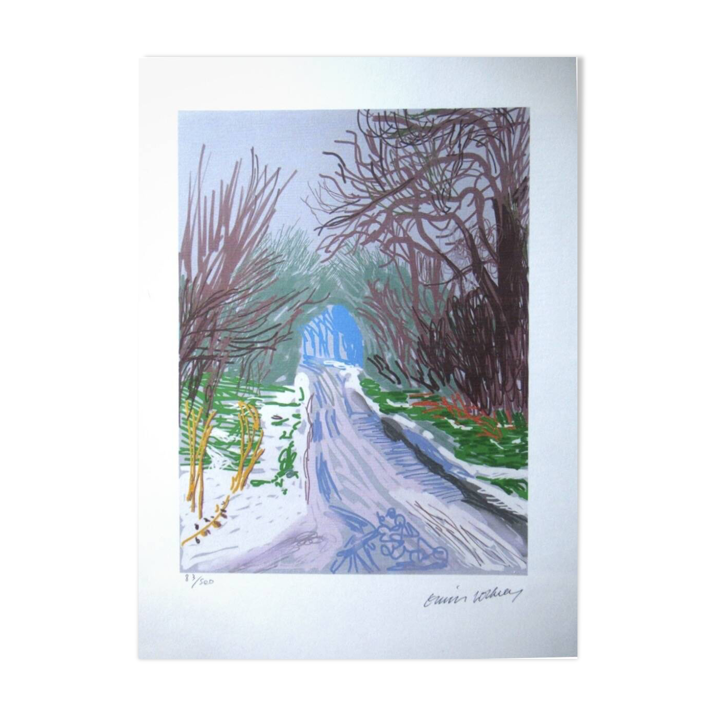 Signed numbered lithograph by David Hockney.
