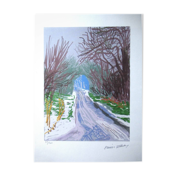 Lithographie signée numérotée David Hockney