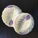 Pair of slip cups