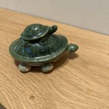 Turtle collection