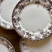 Set of 6 antique ironstone dessert plates, Alphand pattern by Sa