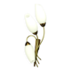 Vintage brass wall light with 3 glass tulips.