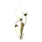 Vintage brass wall light with 3 glass tulips.
