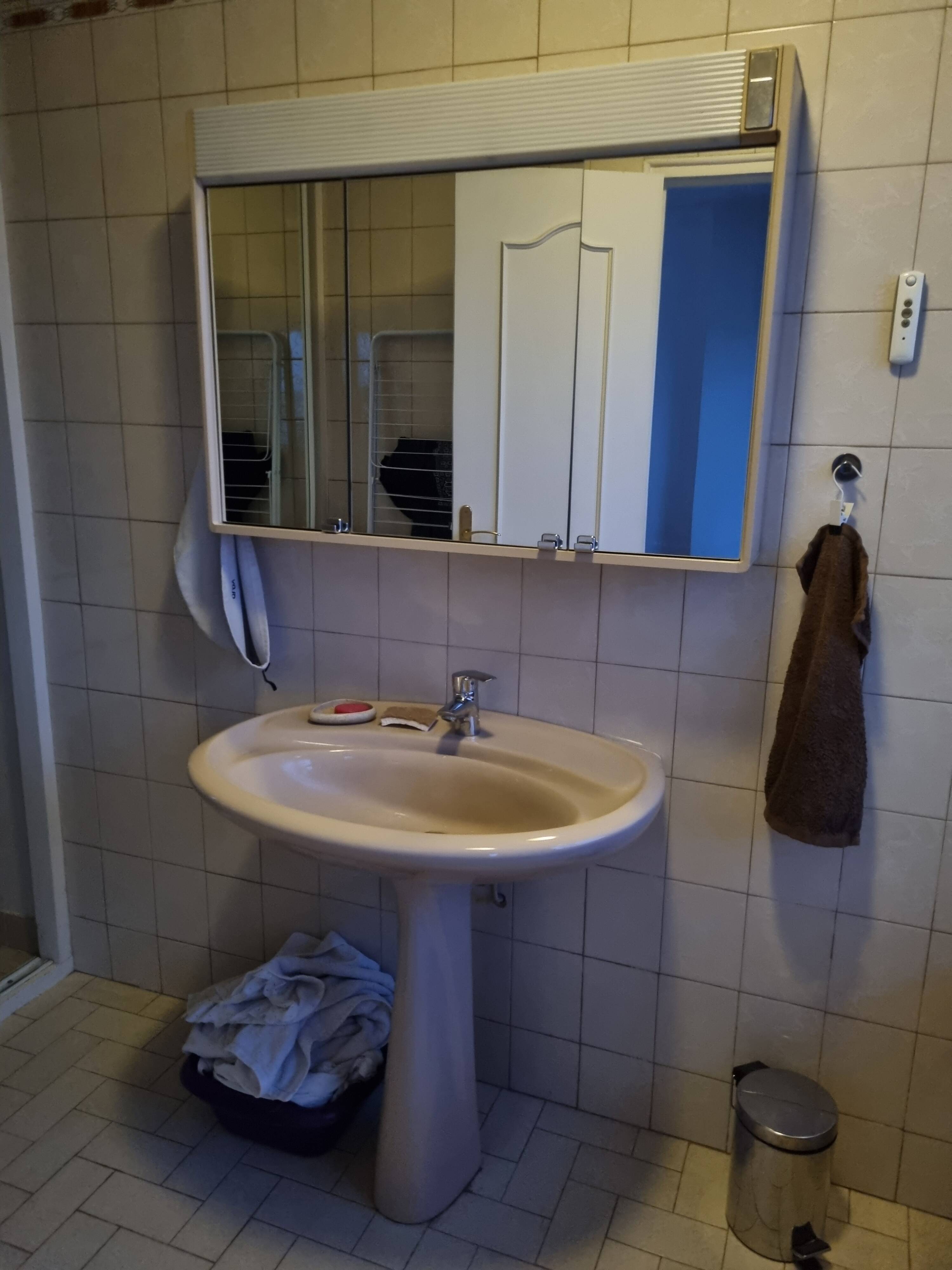 Vintage pedestal sink