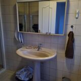 Vintage pedestal sink