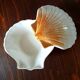 Ceramic shell 1960