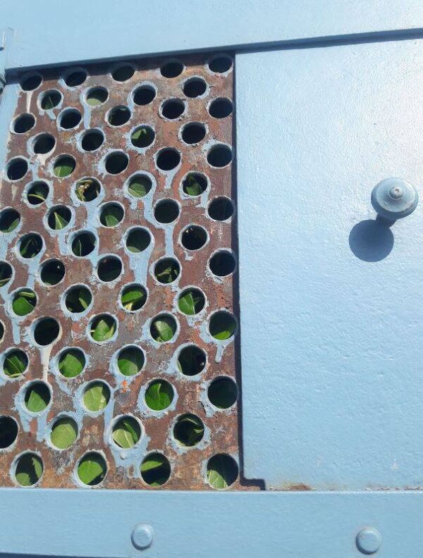 Porte portail H205xL103 ancienne en fer cintrée avec boite aux lettres