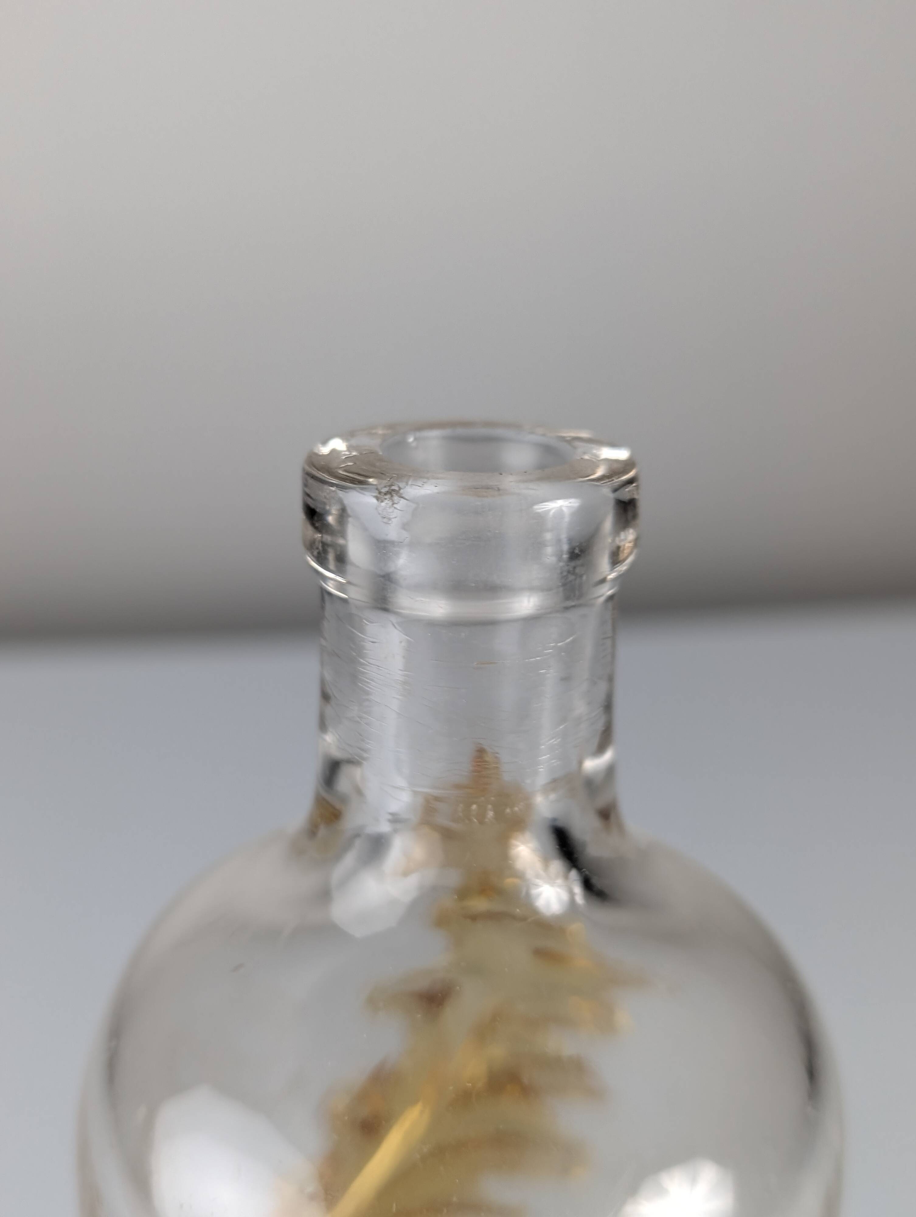 French Art Nouveau Uranium Glass Bottle with Applied Amber Leaves, c. 1900