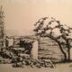 Illustration/signed paper print, framed, 60s/70s