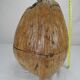 Old ice bucket coconut deco vintage