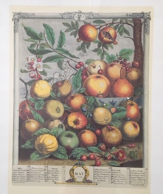 Old English botanical board in May