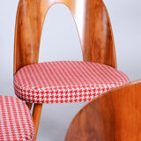 Four restored mid-century chairs, antonin suman, beech, walnut, czechia, 1950s