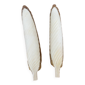 Appliques murale Murano