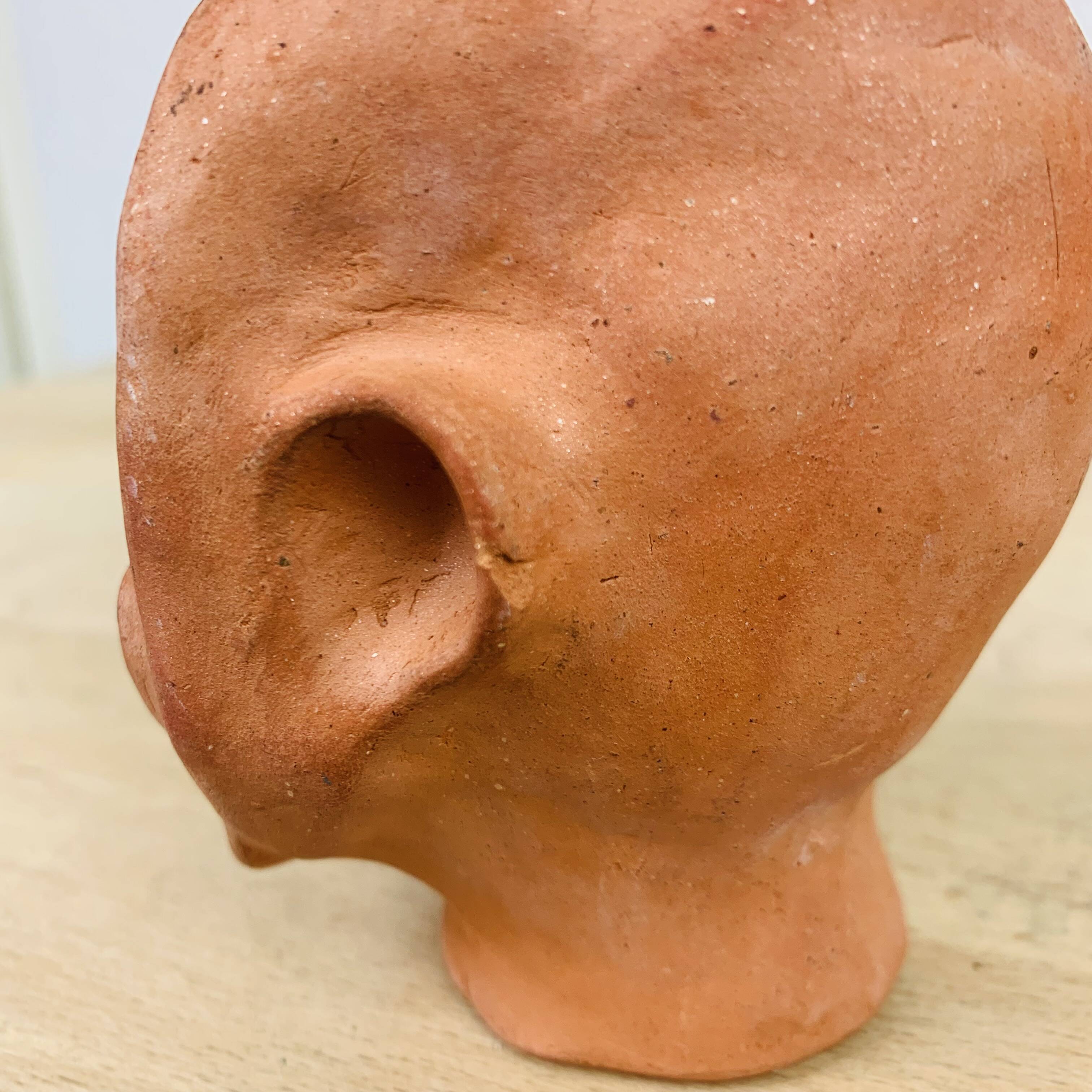 Terracotta head/bust, object of curiosity